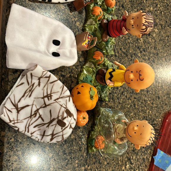 It’s the Great Pumpkin Charlie Brown - Picture 2 of 9